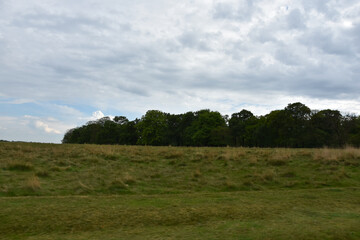 field and blue sky