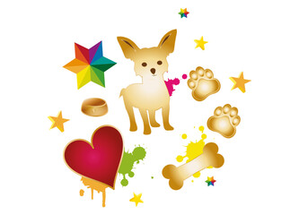 Hunde Accessoires mit golden Chihuahua