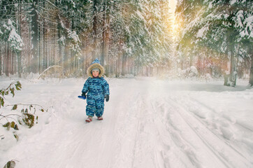 A little boy walks through the snow in winter, on the edge of the forest, the setting sun shines through the fir trees.