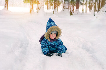 A little boy walks through the snow in winter, on the edge of the forest, the setting sun shines through the fir trees.