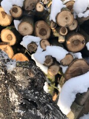 Сложенные дрова