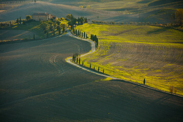 landscape with agricultural field and hills