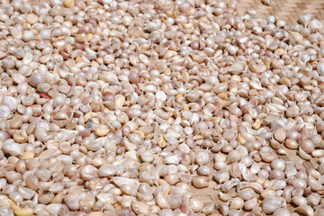 Traditional sun-dried garlic. garlic background 