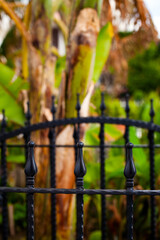 Abstract Architecture Design of Iron Fences