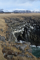 Cool Cave Made of Hexagonal Basalt Column Rocks