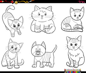 cartoon cats animal characters set coloring book page