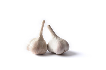 Garlic on white background. Two garlic bulbs (allium sativum) natural antibiotic and antimicrobial.