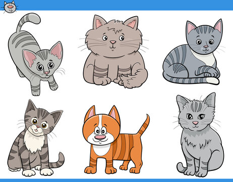 cartoon cats and kittens funny characters set