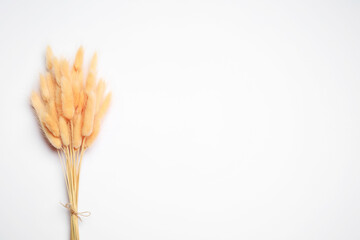 Bunch of beautiful dried flowers on white background, top view