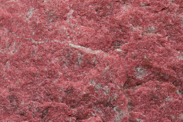 thulite from Leksvik, Norway for background use