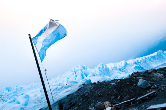62 Best Bandera Argentina Images Stock Photos Vectors Adobe Stock