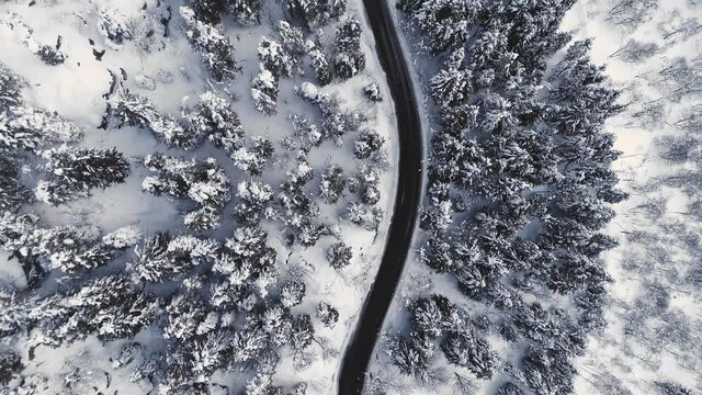 Aerial top view of asphalt road in high mountains. Winter forest with snow, foggy weather. Drone flying over road, no car driving