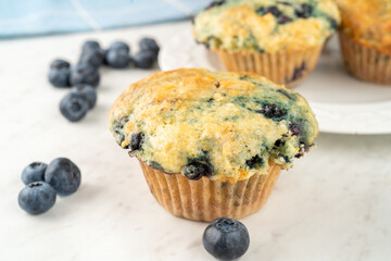 Homemade blueberry muffins freshly baked in the home kitchen.