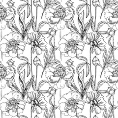 Seamless pattern with peonies (graphics)