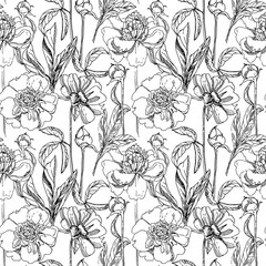 Seamless pattern with peonies (graphics)