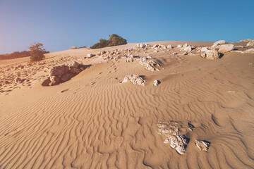 Outcrops of mineral rock in the foreground in the middle of sand dunes in the desert. Geology of shale and granite, or climate warming concept
