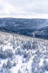 Winter scenery with snow covered land and trees.