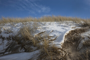 Dunes with snow. Julianadorp Northsea coast Netherlands. Winter.