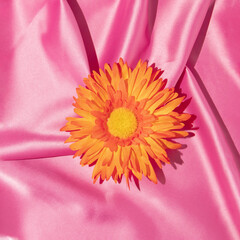Bright orange colored daisy  on bold pink satin silk background. Minimal aesthetic layout. Romantic creative idea. Spring or summer fashion concept with blooming flower.