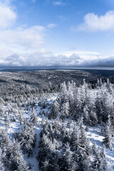 Breathtaking winter scenery in the forest.