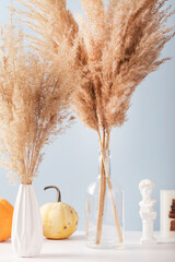 Dried pampas grass in vases with pumpkins and candle on white and blue background, modern bright...