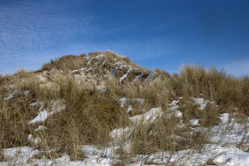 Fototapeta na wymiar Dunes with snow. Julianadorp Northsea coast Netherlands. Winter.