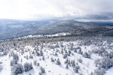 Fototapeta na wymiar Winter forest landscape scenery in the mountains.