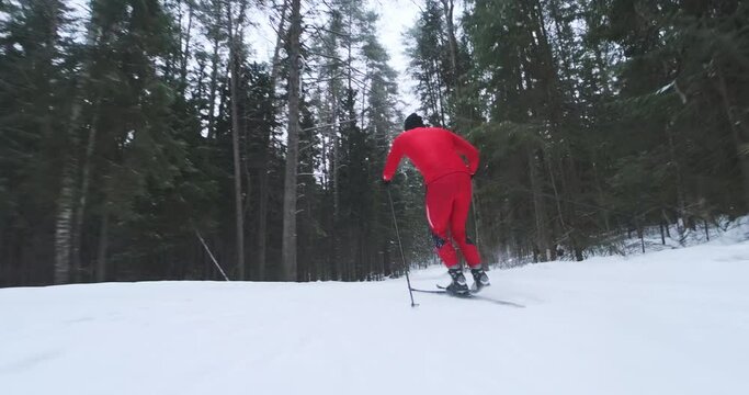 Skier falls. Young fit man in red ski suit glides downhill on the cross country ski track and falls