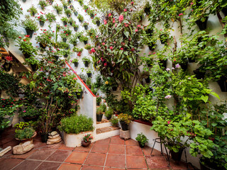 Fototapeta na wymiar Interior Garden in Cordoba