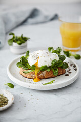 sandwich with greens and egg for breakfast on a bright background
