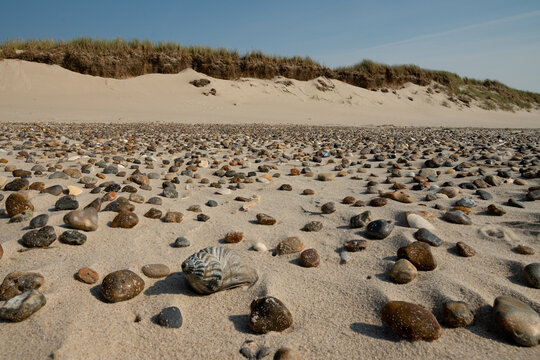 Thousand shells and zero people