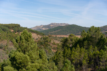 Fototapeta na wymiar View of Marvao village on top of the mountain range on the middle of the trees landscape on a sunny day in Alentejo, Portugal