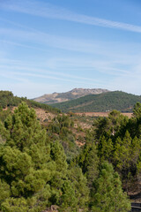 View of Marvao village on top of the mountain range on the middle of the trees landscape on a sunny day in Alentejo, Portugal