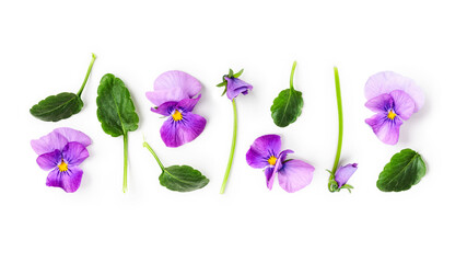 Spring viola pansy flowers creative banner and pattern.
