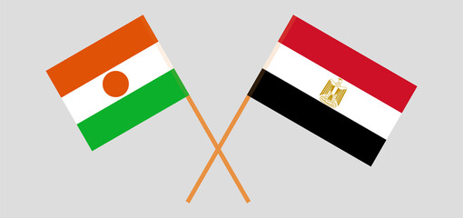 Crossed flags of Niger and Egypt