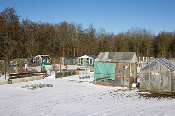 Fototapeta na wymiar Allotment garden with wheelbarrow in winter covered with snow