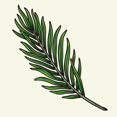 Colorful concept of green palm leaf