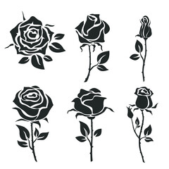 Collection of roses isolated on white. Vector iluustration.