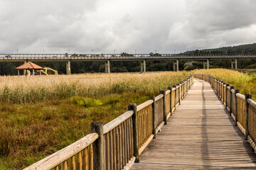 Fototapeta premium Catoira, Spain. The Torres de Oeste (West Towers), a walled complex of ruined castles in Galicia surrounded by marshes