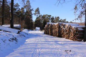 Sonniger Wintertag mit viel Schnee  im Wald der Stadt Menden im Sauerland