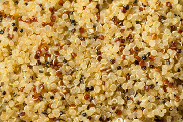 Healthy Cooked White Quinoa