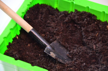 Planting home plants indoors. Hands of a young boy planting in the flower pot. boy potting some plants in pots on a counter at home. boy gardener planting flowers in pots