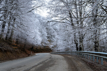 Road in Sabaduri forest. Winter time. Landscape