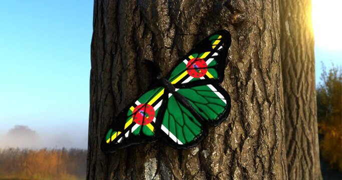 Flag of Dominica on Butterfly Wings Realistic 4K UHD 60FPS