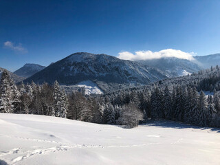 Fototapeta na wymiar Allgäuer Alpen Winter Jungholz Stubental Alpe