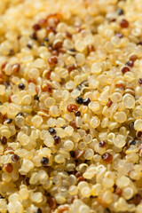 Healthy Cooked White Quinoa