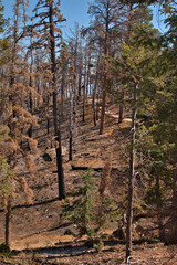 Bryce Canyon National Park