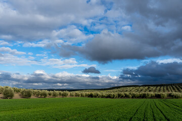 Stock photo of rural landscape with mountains and trees on the background.