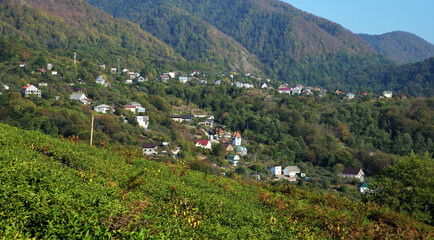 Fototapeta na wymiar Verkhnearmyanskaya Khobza Village and Caucasus mountains view, Lazarevsky district, resort town Sochi, Krasnodar Territory, Russia