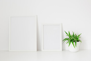 Plant on a shelf and two frames mock up.	
